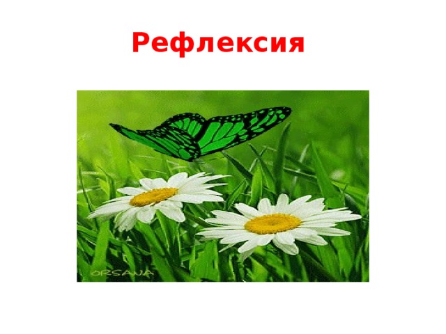 Рефлексия 