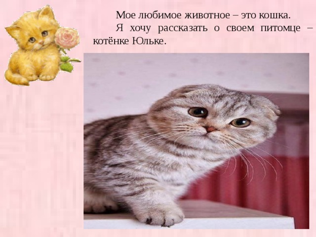  Мое любимое животное – это кошка.  Я хочу рассказать о своем питомце – ко тёнке Юльке .  