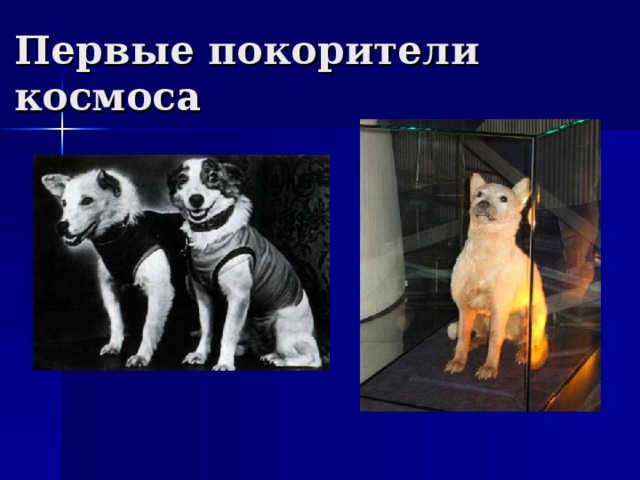 Первые покорители космоса 