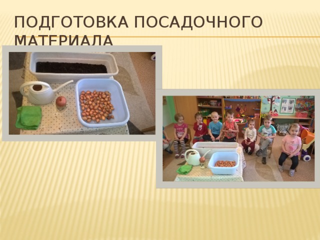 Подготовка посадочного материала 