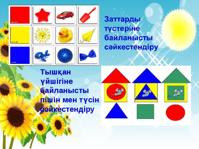 Тышқан үйшігіне байланысты пішін мен түсін сәйкестендіру 