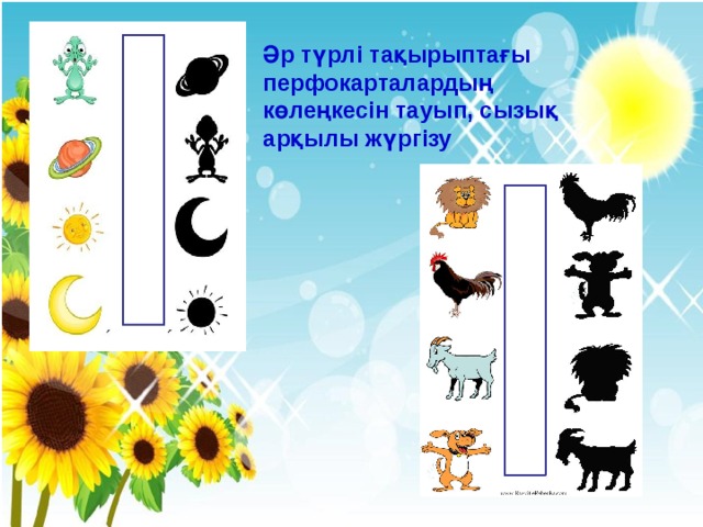 Әр түрлі тақырыптағы перфокарталардың көлеңкесін тауып, сызық арқылы жүргізу 