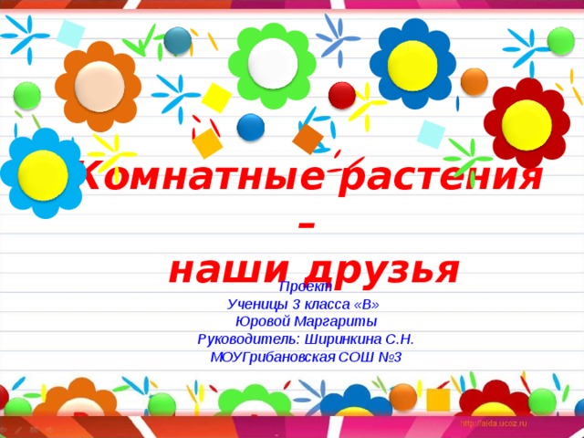 Комнатные растения –  наши друзья Проект Ученицы 3 класса «В» Юровой Маргариты Руководитель: Ширинкина С.Н. МОУГрибановская СОШ №3 