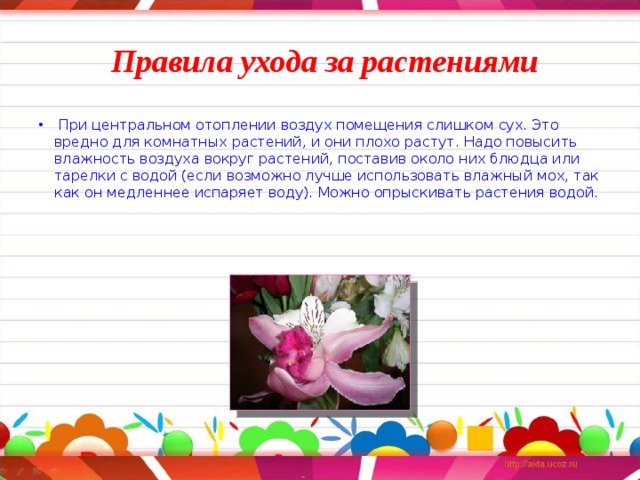 Правила ухода за растениями  При центральном отоплении воздух помещения слишком сух. Это вредно для комнатных растений, и они плохо растут. Надо повысить влажность воздуха вокруг растений, поставив около них блюдца или тарелки с водой (если возможно лучше использовать влажный мох, так как он медленнее испаряет воду). Можно опрыскивать растения водой. 