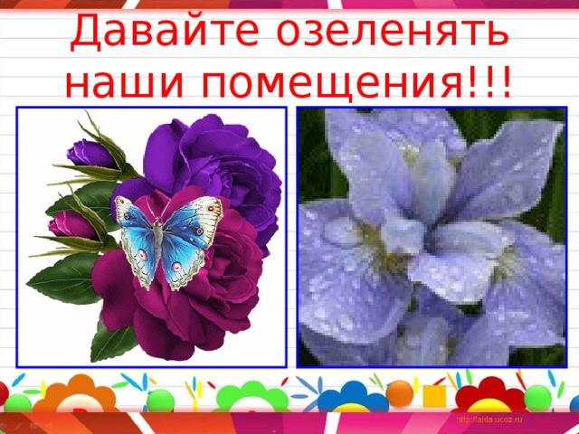 Давайте озеленять наши помещения!!! 