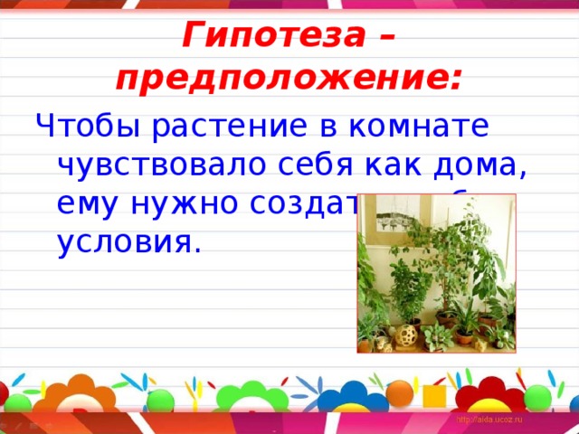 Гипотеза – предположение: Чтобы растение в комнате чувствовало себя как дома, ему нужно создать особые условия. 