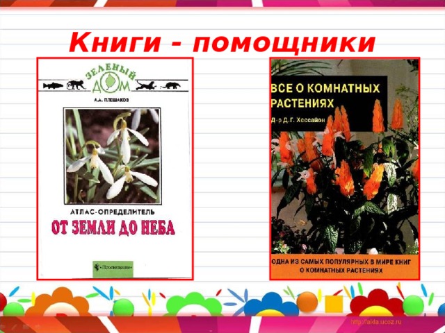 Книги - помощники 