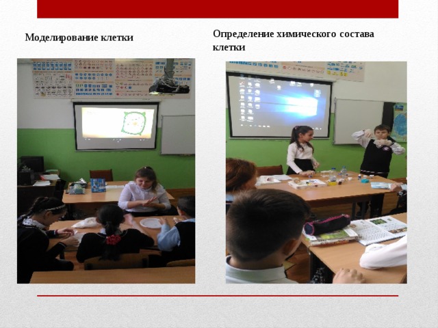 Определение химического состава клетки Моделирование клетки 