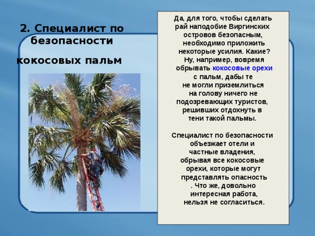 Да, для того, чтобы сделать рай наподобие Виргинских островов безопасным,  необходимо приложить  некоторые усилия. Какие?  Ну, например, вовремя  обрывать кокосовые орехи  с пальм, дабы те не могли приземлиться  на голову ничего не подозревающих туристов, решивших отдохнуть в тени такой пальмы.   Специалист по безопасности объезжает отели и частные владения, обрывая все кокосовые орехи, которые могут  представлять опасность . Что же, довольно  интересная работа,  нельзя не согласиться.     2. Специалист по безопасности кокосовых пальм  