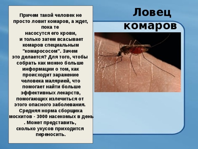 Ловец комаров  Причем такой человек не  просто ловит комаров, а ждет, пока те насосутся его крови,  и только затем всасывает  комаров специальным 