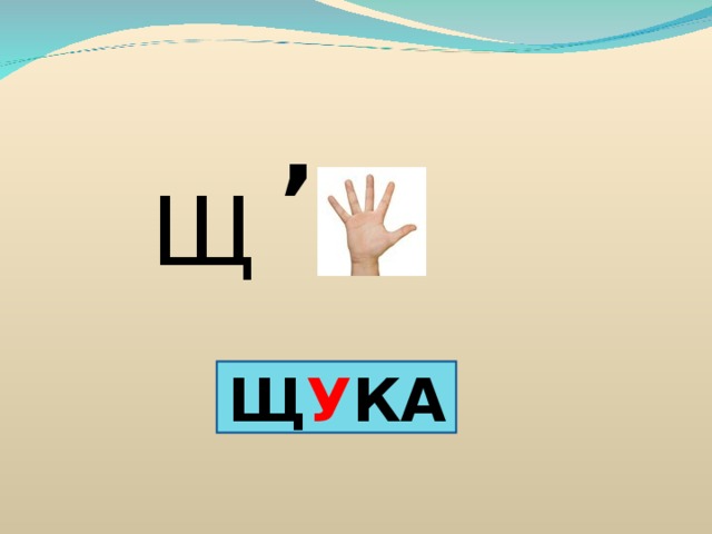 , Щ Щ У КА 