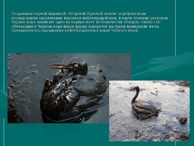 По данным первой изданной «Морской Красной книги» и результатам исследования загрязнения водоемов нефтепродуктами, в карте опасных регионов Черное море занимает одно из первых мест по количеству отходов. Около 160 обитающих в Черном море видов фауны находятся на грани вымирания из-за превышенного содержания нефтепродуктов в водах Черного моря. 