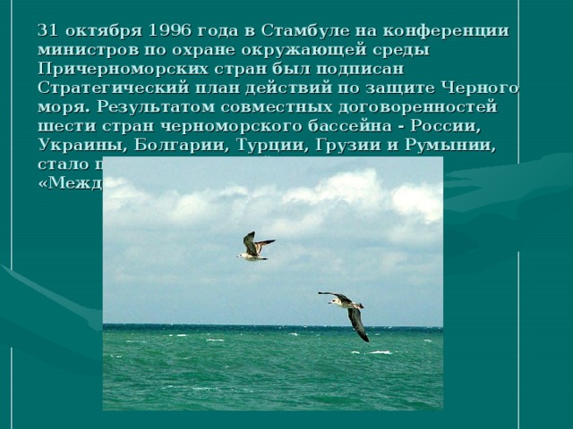 31 октября 1996 года в Стамбуле на конференции министров по охране окружающей среды Причерноморских стран был подписан Стратегический план действий по защите Черного моря. Результатом совместных договоренностей шести стран черноморского бассейна - России, Украины, Болгарии, Турции, Грузии и Румынии, стало празднование этой даты как «Международного дня Черного моря».   