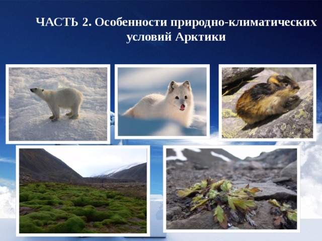 ЧАСТЬ 2. Особенности природно-климатических условий Арктики 