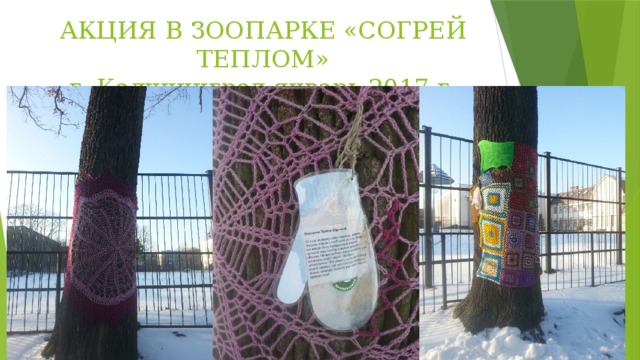 АКЦИЯ В ЗООПАРКЕ «СОГРЕЙ ТЕПЛОМ»  г. Калининград январь 2017 г. 