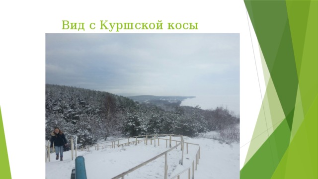 Вид с Куршской косы 