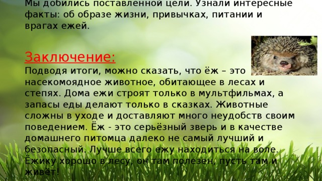 Вывод:  Мы добились поставленной цели. Узнали интересные факты: об образе жизни, привычках, питании и врагах ежей.   Заключение:  Подводя итоги, можно сказать, что ёж – это насекомоядное животное, обитающее в лесах и степях. Дома ежи строят только в мультфильмах, а запасы еды делают только в сказках. Животные сложны в уходе и доставляют много неудобств своим поведением. Ёж - это серьёзный зверь и в качестве домашнего питомца далеко не самый лучший и безопасный. Лучше всего ежу находиться на воле. Ёжику хорошо в лесу, он там полезен, пусть там и живёт!   
