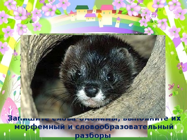  Норка вылезла из норки    Нету норки,  И пошла к знакомой норке.   Может, норка  В норку норкину     Возле норки?  Вошла,      Нет нигде.  Норку в норке     Пропал и след.      Не нашла.      Норка – здесь,  Если в норке     А норки нет! А. Шибаев. Запишите слова-омонимы, выполните их морфемный и словообразовательный разборы  