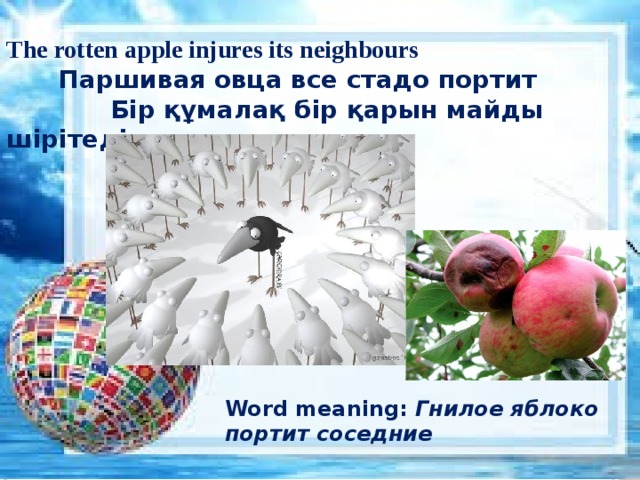 The rotten apple injures its neighbours  Паршивая овца все стадо портит  Бір құмалақ бір қарын майды шірітеді Word meaning: Гнилое яблоко портит соседние 