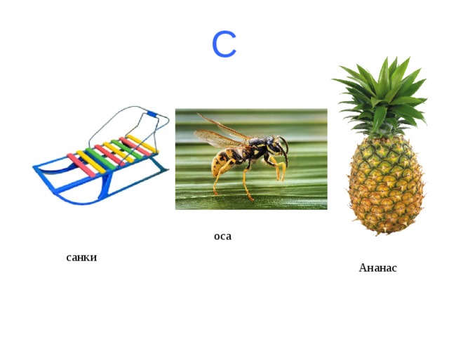 С оса санки Ананас 