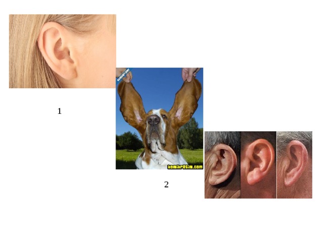 1 2 