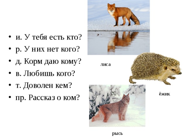 и . У тебя есть кто? р . У них нет кого? д . Корм даю кому? в . Любишь кого? т . Доволен кем? пр . Рассказ о ком? лиса ёжик рысь 