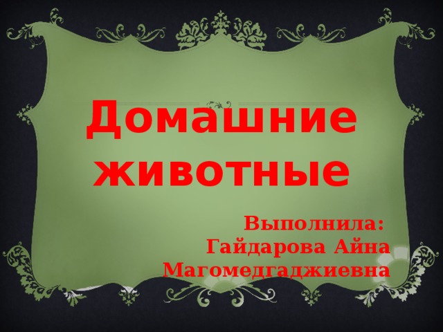  Домашние животные  Выполнила: Гайдарова Айна Магомедгаджиевна  