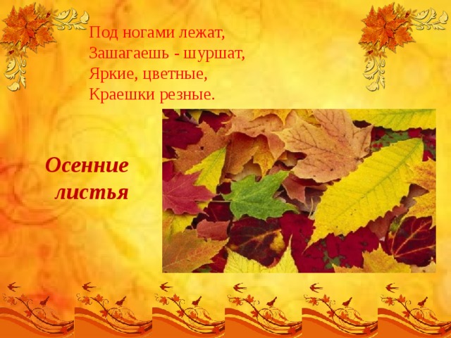Под ногами лежат,  Зашагаешь - шуршат,  Яркие, цветные,  Краешки резные.   Осенние листья 