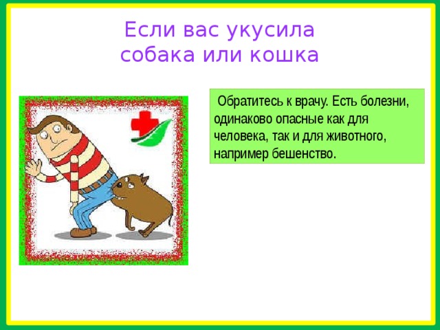  Если вас укусила  собака или кошка   Обратитесь к врачу. Есть болезни, одинаково опасные как для человека, так и для животного, например бешенство. 