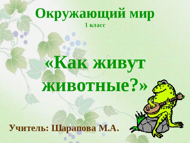 Окружающий мир  1 класс   «Как живут животные?» Учитель: Шарапова М.А. 