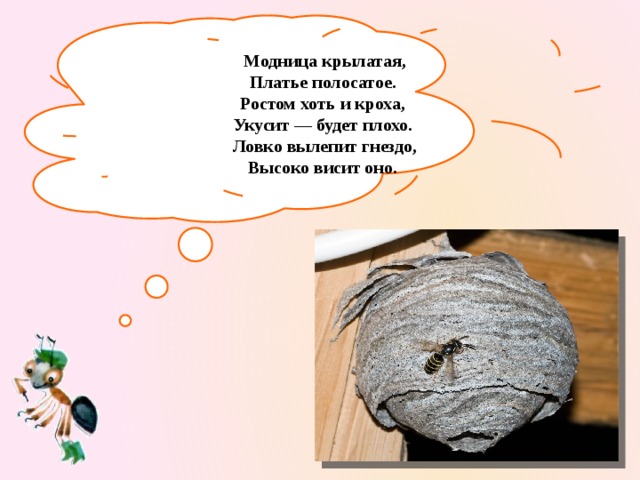 Модница крылатая,  Платье полосатое.  Ростом хоть и кроха,  Укусит — будет плохо.  Ловко вылепит гнездо,  Высоко висит оно.   