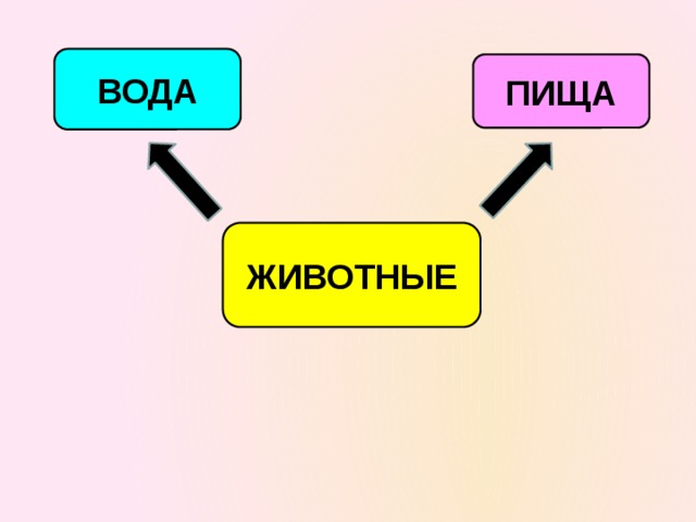 ВОДА ПИЩА ЖИВОТНЫЕ 