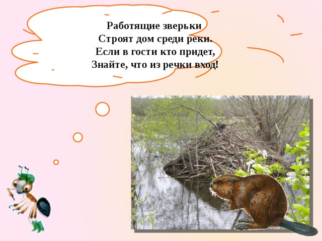 Работящие зверьки  Строят дом среди реки.  Если в гости кто придет,  Знайте, что из речки вход!   