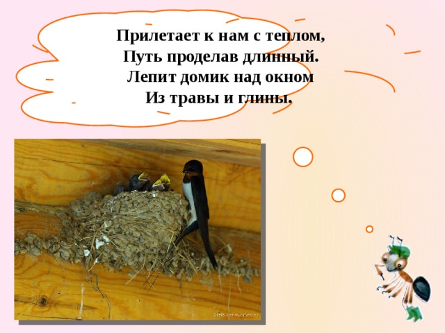Прилетает к нам с теплом,  Путь проделав длинный.  Лепит домик над окном  Из травы и глины.   