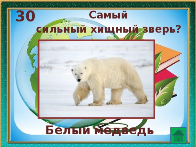 30  Самый сильный хищный зверь?  Белый  медведь 