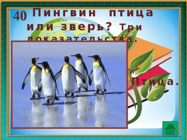  Пингвин птица или зверь? Три доказательства . 40 Птица.  