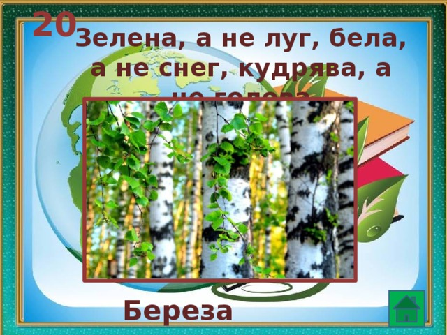 20 Зелена, а не луг, бела, а не снег, кудрява, а не голова Береза   