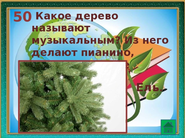 50  Какое дерево называют музыкальным? Из него делают пианино, гитары и другие музыкальные инструменты? Ель . 