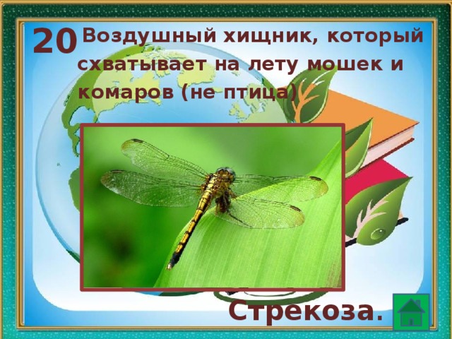 20  Воздушный хищник, который схватывает на лету мошек и комаров (не птица)  Стрекоза . 