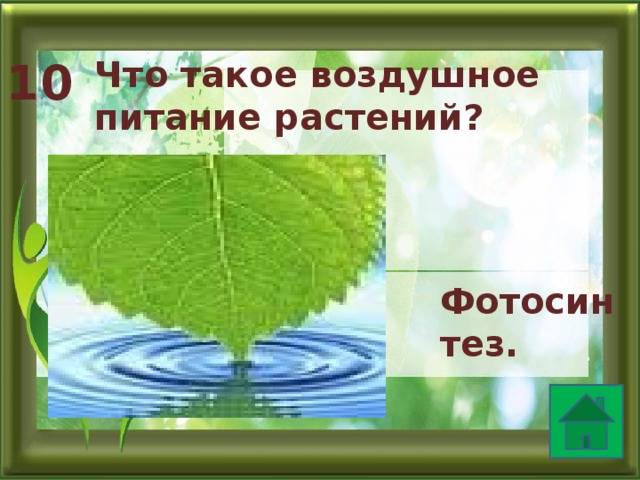 10 Что такое воздушное питание растений? Фотосинтез.  