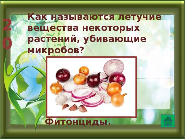 Как называются летучие вещества некоторых растений, убивающие микробов? 20 Фитонциды.  
