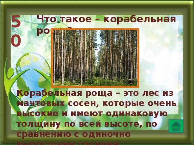 50 Что такое – корабельная роща? Корабельная роща – это лес из мачтовых сосен, которые очень высокие и имеют одинаковую толщину по всей высоте, по сравнению с одиночно выросшими соснами  