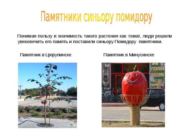  Понимая пользу и значимость такого растения как томат, люди решили увековечить его память и поставили синьору Помидору памятники.  Памятник в Цюрупинске Памятник в Минусинске 