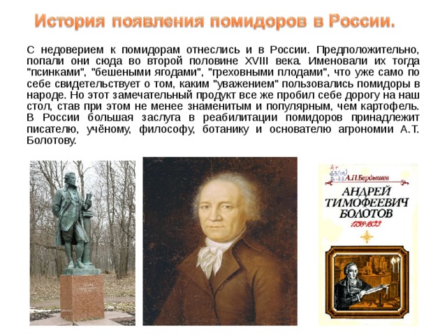С недоверием к помидорам отнеслись и в России. Предположительно, попали они сюда во второй половине XVIII века. Именовали их тогда 