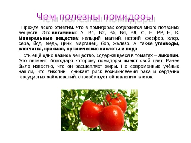  Прежде всего отметим, что в помидорах содержится много полезных веществ. Это  витамины : А, В1, В2, В5, В6, В9, С, Е, РР, Н, К. Минеральные вещества : кальций, магний, натрий, фосфор, хлор, сера, йод, медь, цинк, марганец, бор, железо. А также,  углеводы, клетчатка, крахмал, органические кислоты и вода .  Есть ещё одно важное вещество, содержащееся в томатах –  ликопин . Это пигмент, благодаря которому помидоры имеют свой цвет. Ранее было известно, что он расщепляет жиры. Но современные учёные нашли, что ликопин снижает риск возникновения рака и сердечно -сосудистых заболеваний, способствует обновлению клеток. 