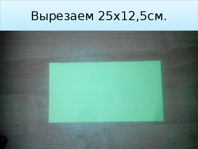 Вырезаем 25х12,5см. 
