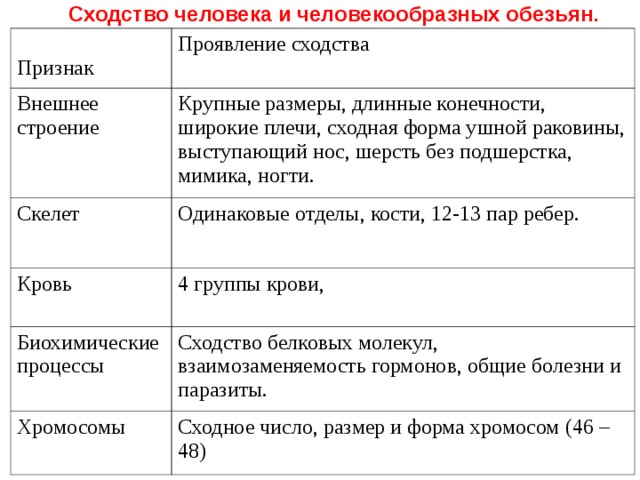 Сходство человека и человекообразных обезьян . Признак Проявление сходства Внешнее строение Крупные размеры, длинные конечности, широкие плечи, сходная форма ушной раковины, выступающий нос, шерсть без подшерстка, мимика, ногти. Скелет Одинаковые отделы, кости, 12-13 пар ребер. Кровь 4 группы крови, Биохимические процессы Сходство белковых молекул, взаимозаменяемость гормонов, общие болезни и паразиты. Хромосомы Сходное число, размер и форма хромосом (46 – 48)