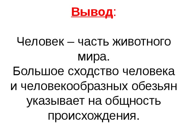 Вывод : Человек – часть животного мира. Большое сходство человека и человекообразных обезьян указывает на общность происхождения.
