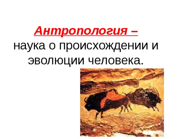 Антропология – наука о происхождении и эволюции человека.