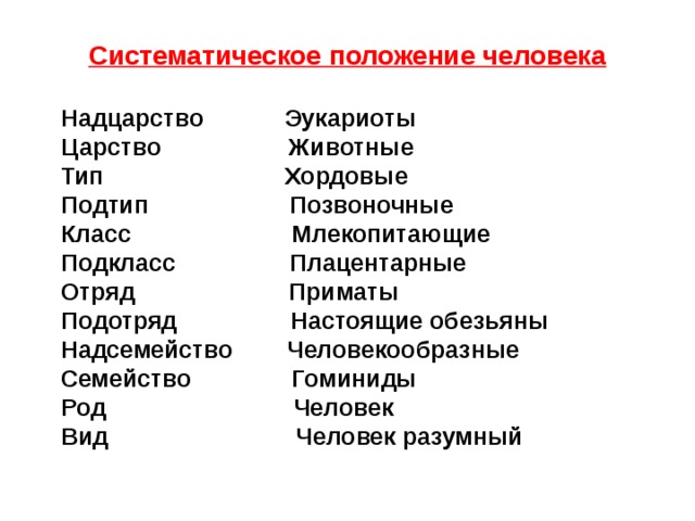 Систематическое положение человека  Надцарство Эукариоты Царство Животные Тип Хордовые Подтип Позвоночные Класс Млекопитающие Подкласс Плацентарные Отряд Приматы Подотряд Настоящие обезьяны Надсемейство Человекообразные Семейство Гоминиды Род Человек Вид Человек разумный